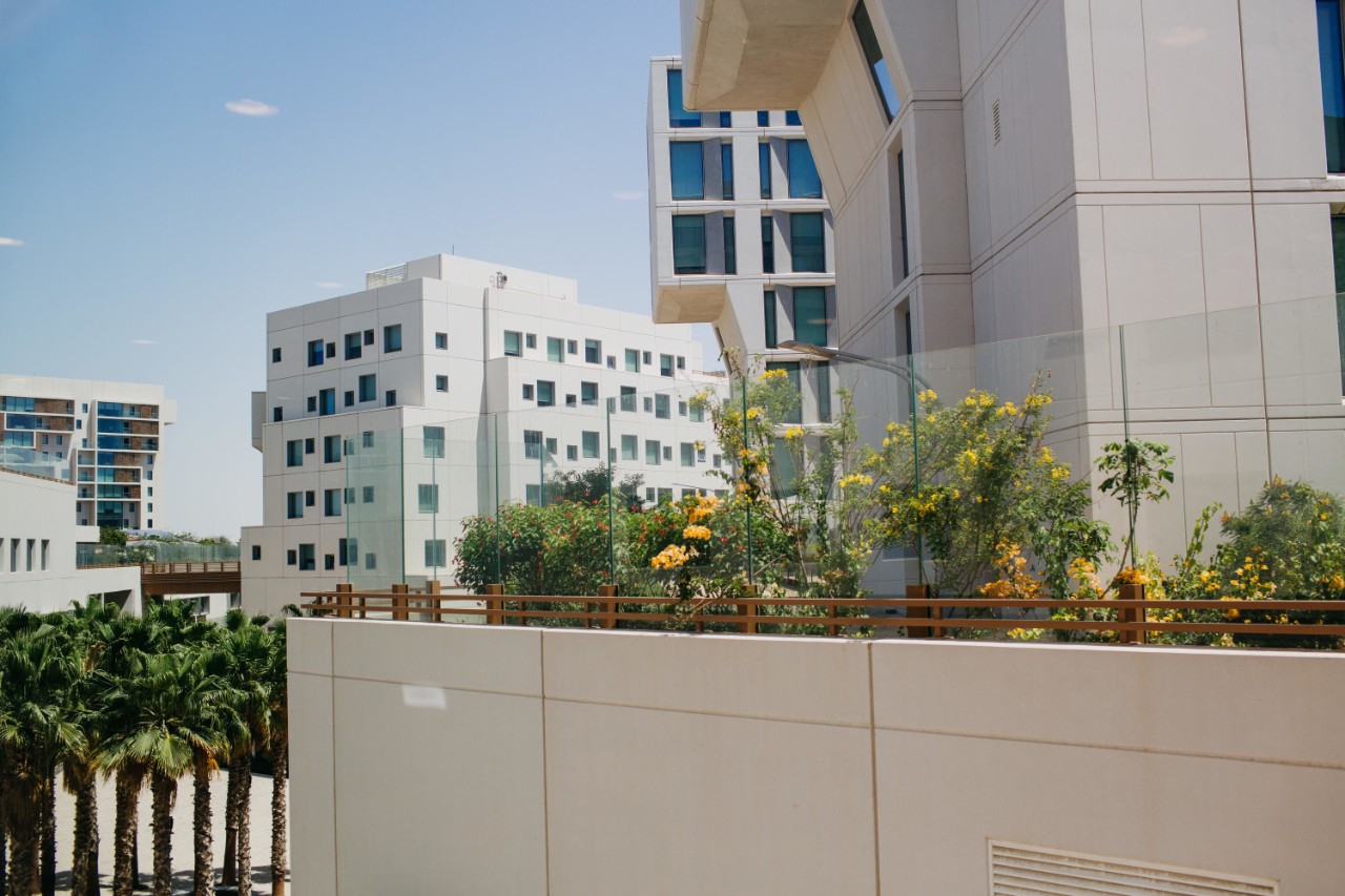 A view of campus housing from the High Line. 